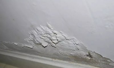 老師傅應該如何挑選好的涂料？